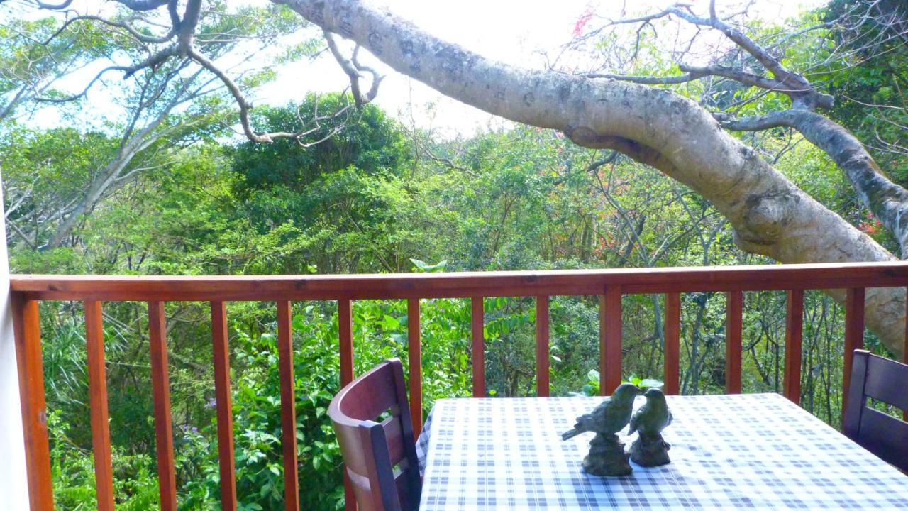 Royston Hall Historical Guesthouse Umtentweni ภายนอก รูปภาพ